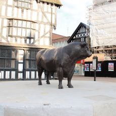 Hereford Bull