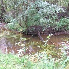 Парк с гидросистемой (Зеленогорск)