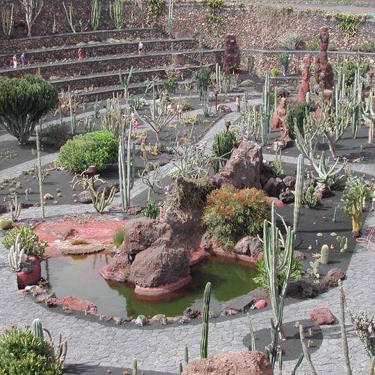 Jardín de Cactus