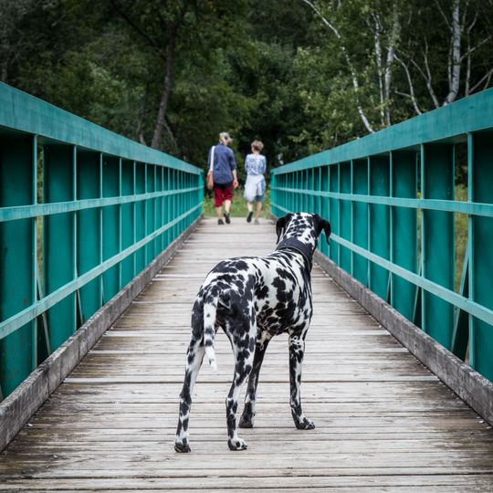 Lávka přes Klabavu u Ejpovic