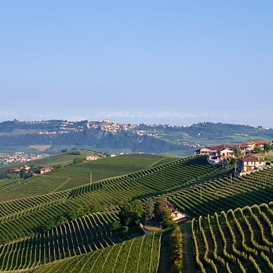 BRUNO ROCCA Farm Rabajà