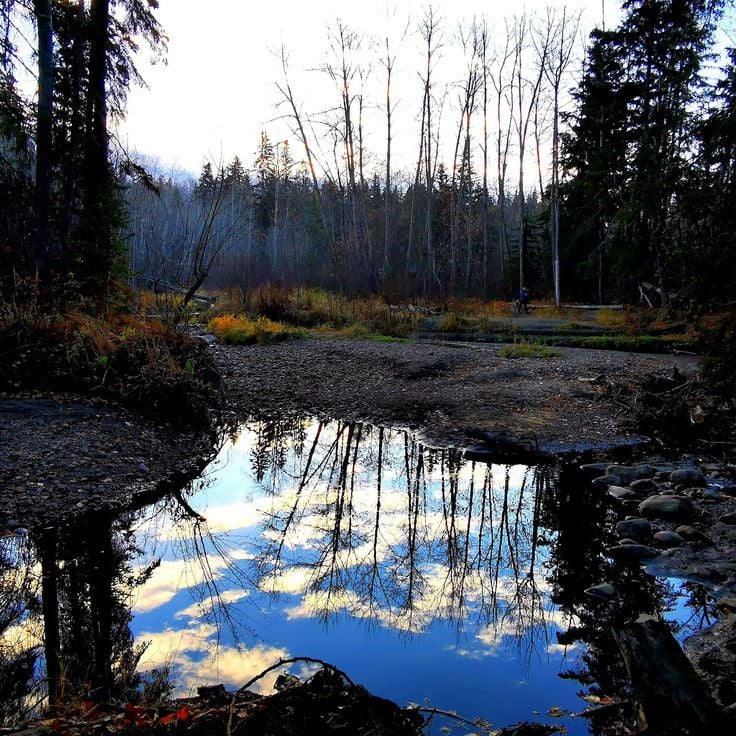 Mill Creek Ravine Park
