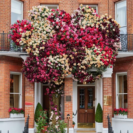 Egerton House Hotel