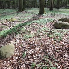 Großsteingrab Rothenmoor 2