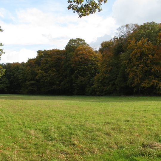 Blumenhagener Moor, Schwarzwasserniederung, Wendesser Moor, Staatsforst Peine, Harrenkamp, Flotheniederung