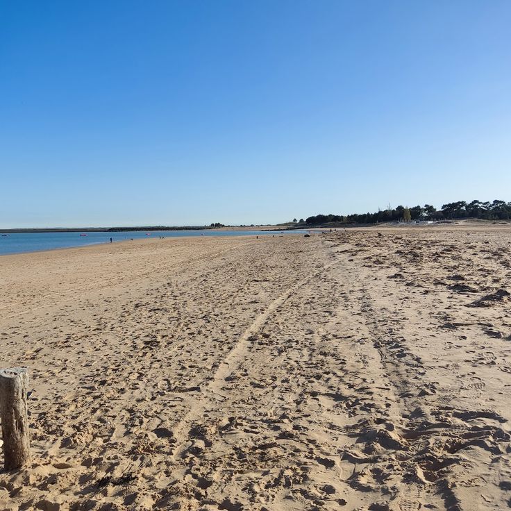 Wrak Presidente Viera