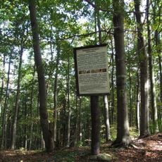 Rezerwat przyrody Barnowiec