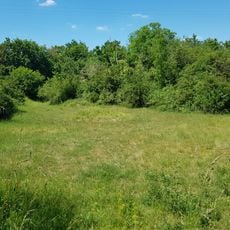 Ehemalige Mergelgrube im Gewann Bangert