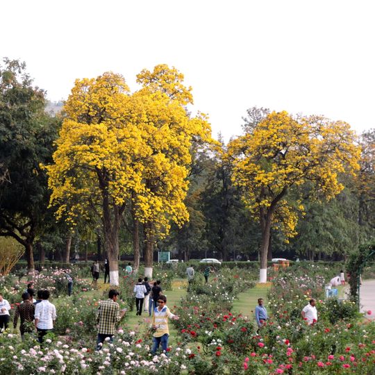 Zakir Hussain Rose Garden