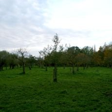 Terrein waarin overblijfselen van het kasteel van de "Heeren van Nisse"