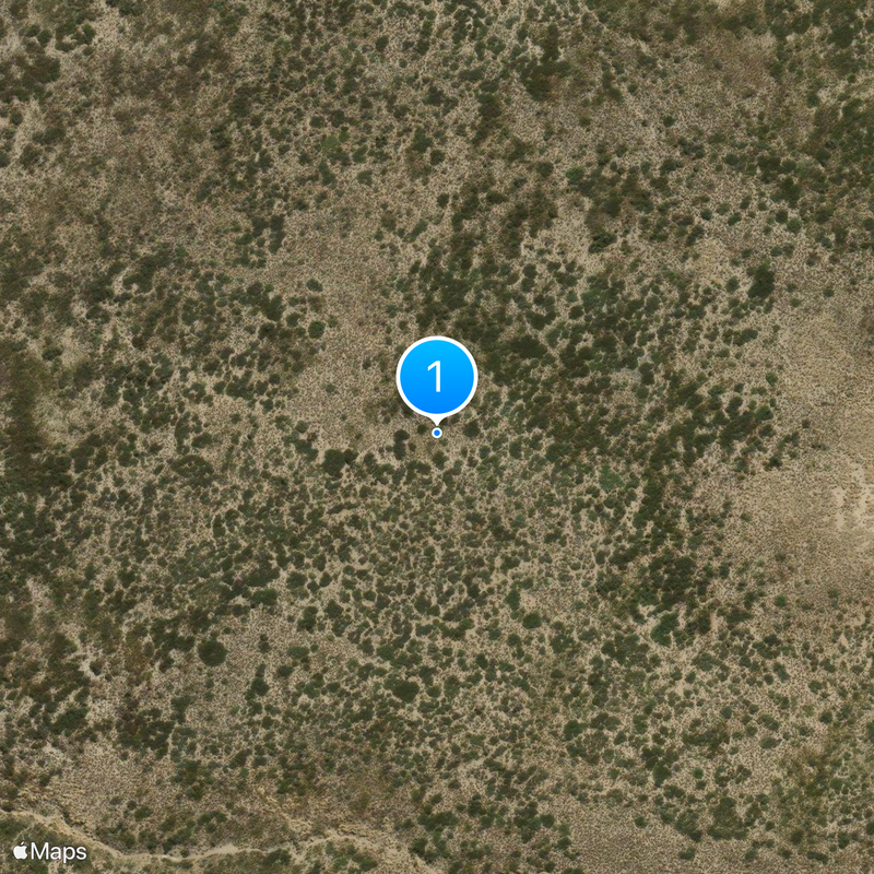 Vaca Muerta-formatie Kaart