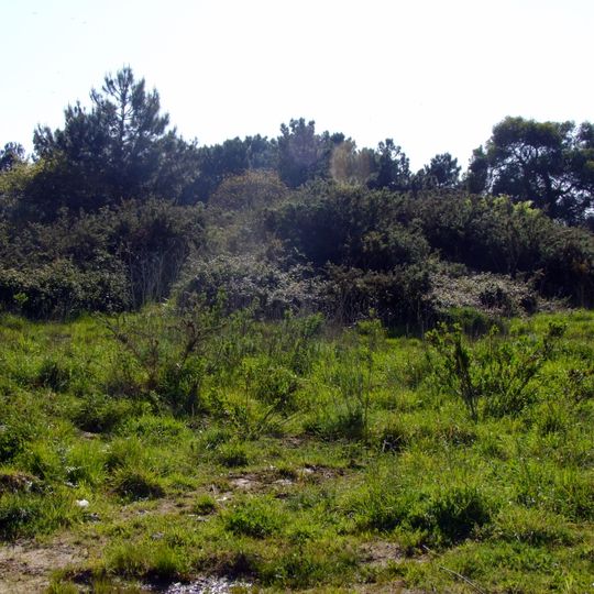 Espaldão Militar do Porto