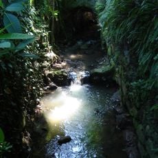 Carioca River