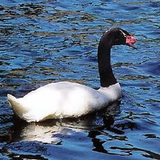 El Yali National Reserve