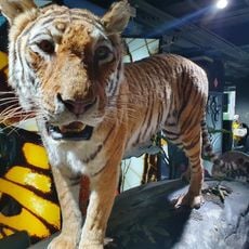 Taiwan Insect Museum Hsinchu Branch