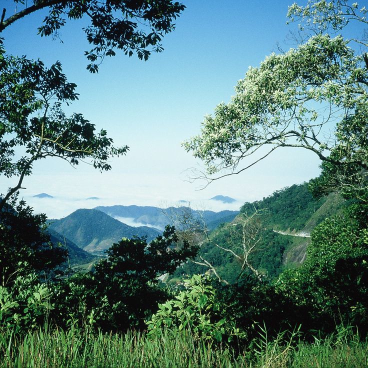 Parque Nacional da Serra da Bocaina