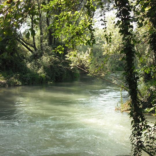 Sile: sorgenti, paludi di Morgano e S. Cristina