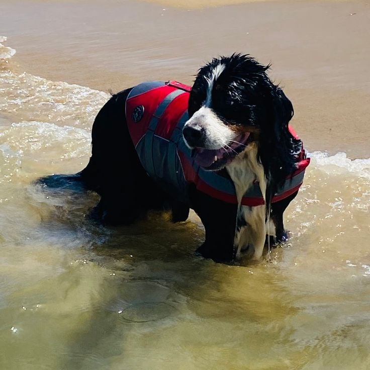 Le Diomedee Family Village