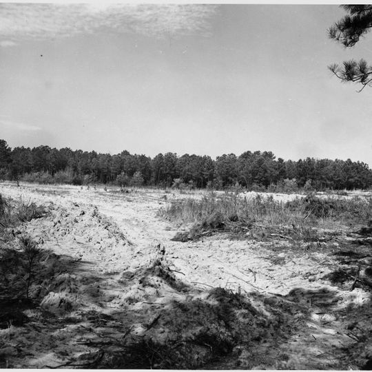 Sumter National Forest