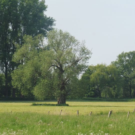 Lippeniederung VI – Mantinghausen