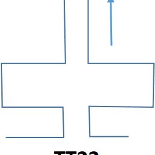 TT22