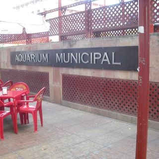 Acuario Municipal (Santa Pola)