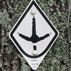 Pinhoti National Recreation Trail