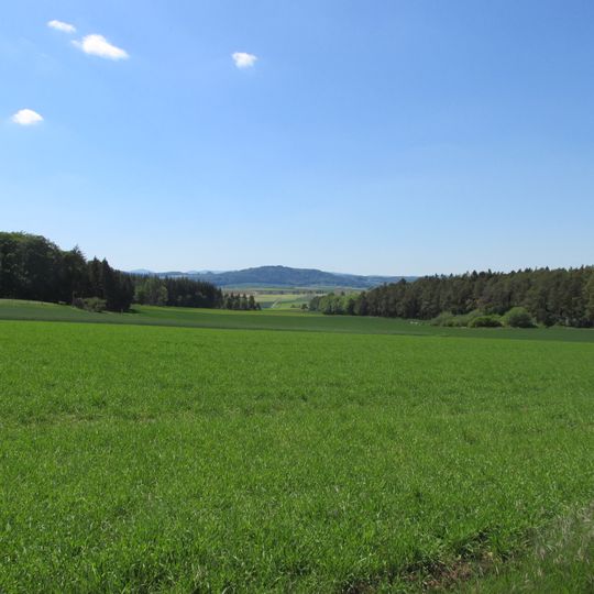Dalwigker Holz und Gebranntes Holz bei Korbach