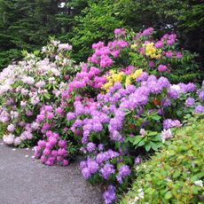 Memorial University of Newfoundland Botanical Garden