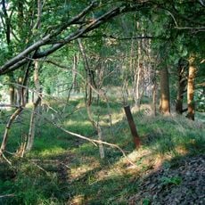 Ehemaliger Bahndamm in Loyerberg