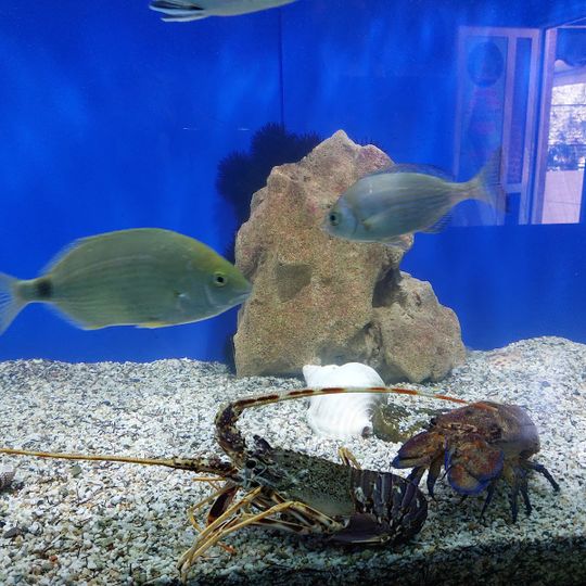 Aquaworld Aquarium