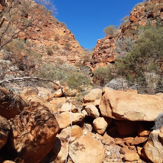 Kotka Gorge Trail, Mount Augustus National Park
