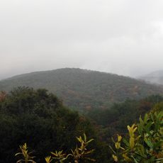 Laurel Fork South Wilderness