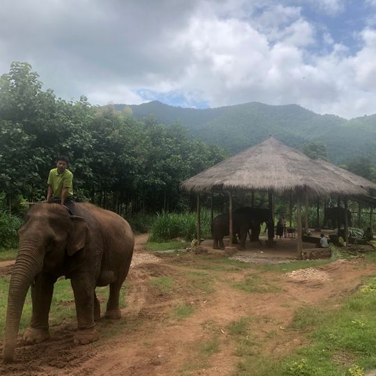 Green Hill Valley Elephant Camp