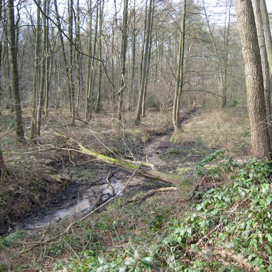 Nittum-Hoppersheider Bruch