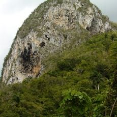 Cuban dry forests