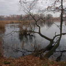 Nový rybník u Soběslavi