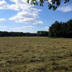 Scheftheimer Wiesen bei Darmstadt