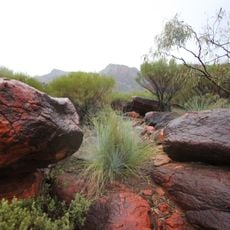 Ikara-Flinders Ranges National Park