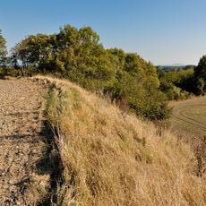 Urzeitliche Siedlung am Buhuberg