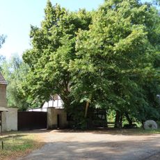 Naturdenkmal  Sommerlinde  an der Mühle; Flur 6; Flurstück 6 in Wahrenbrück