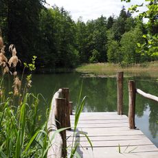 Teich und Bachgrund des Eschelbachs