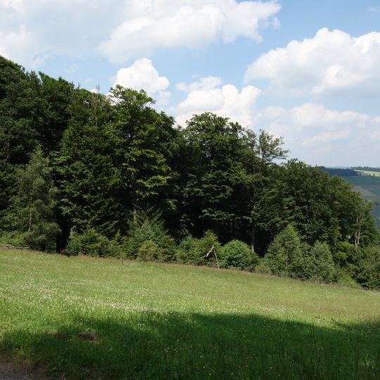 Steinmarkskopf-Hardenberg