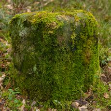 Grenzstein Fürther Stadtwald in Fürth