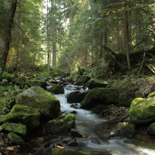 Rezerwat przyrody Čertova stráň