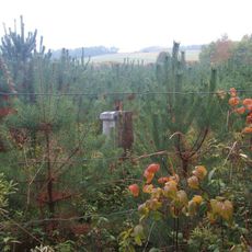 Kříž východně od Dohanic