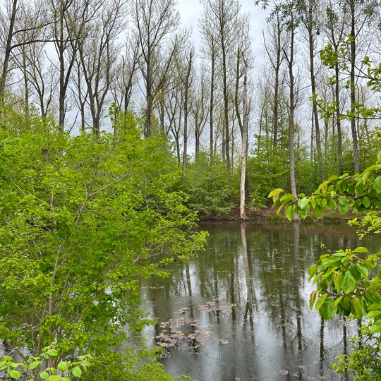 Feuchtgebiet Maxhütte