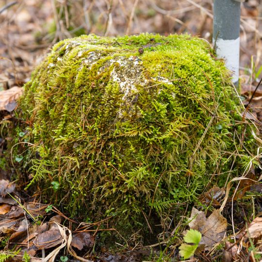Grenzstein Heilstättenstraße 130 in Zirndorf