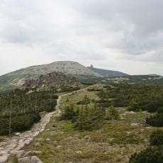 Wielki Szyszak