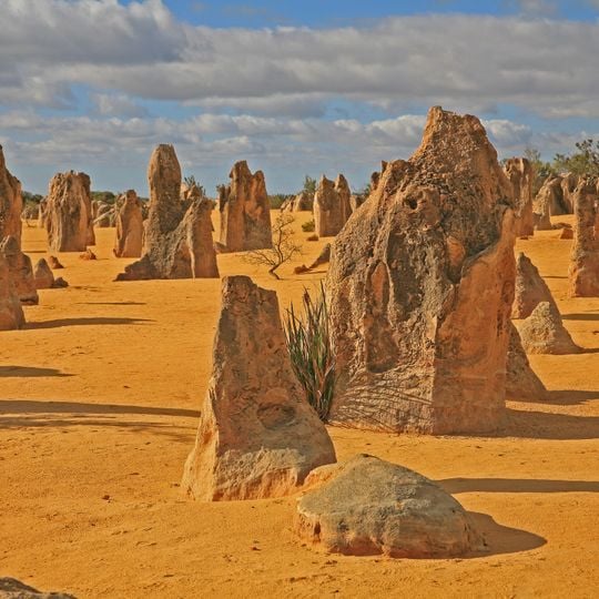 Pinnacles Desert